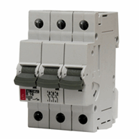 ETIMAT P10 C 0,5A 2mod. 1p+n 10k