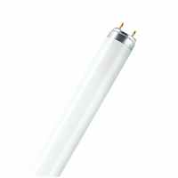 L38830 T8 TL-BUIS 38W 3000K 1047MM