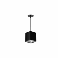 INVERTO PEND RMT WW EB BLACK