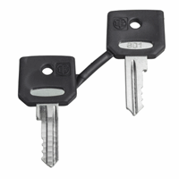 ZBG421E SET SLEUTELS RONIS 421E