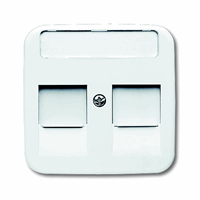 1800-214 INZETPLAAT 2XMJ ALPINWI