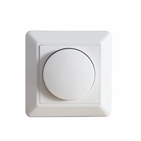 ED-10002 DIMKNOP WIT INCL. CENTRAAL